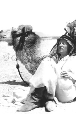 lawrence_of_arabia_peter_o'toole_between_takes_with_a_camel