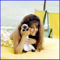 claudia_cardinale_and_her_pussy